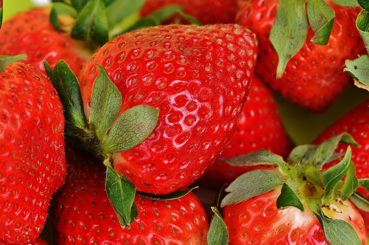 「食力」草莓嬌貴不易保存，不用農藥，改用天然食用塗層可增加保存期