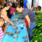 touch-tank