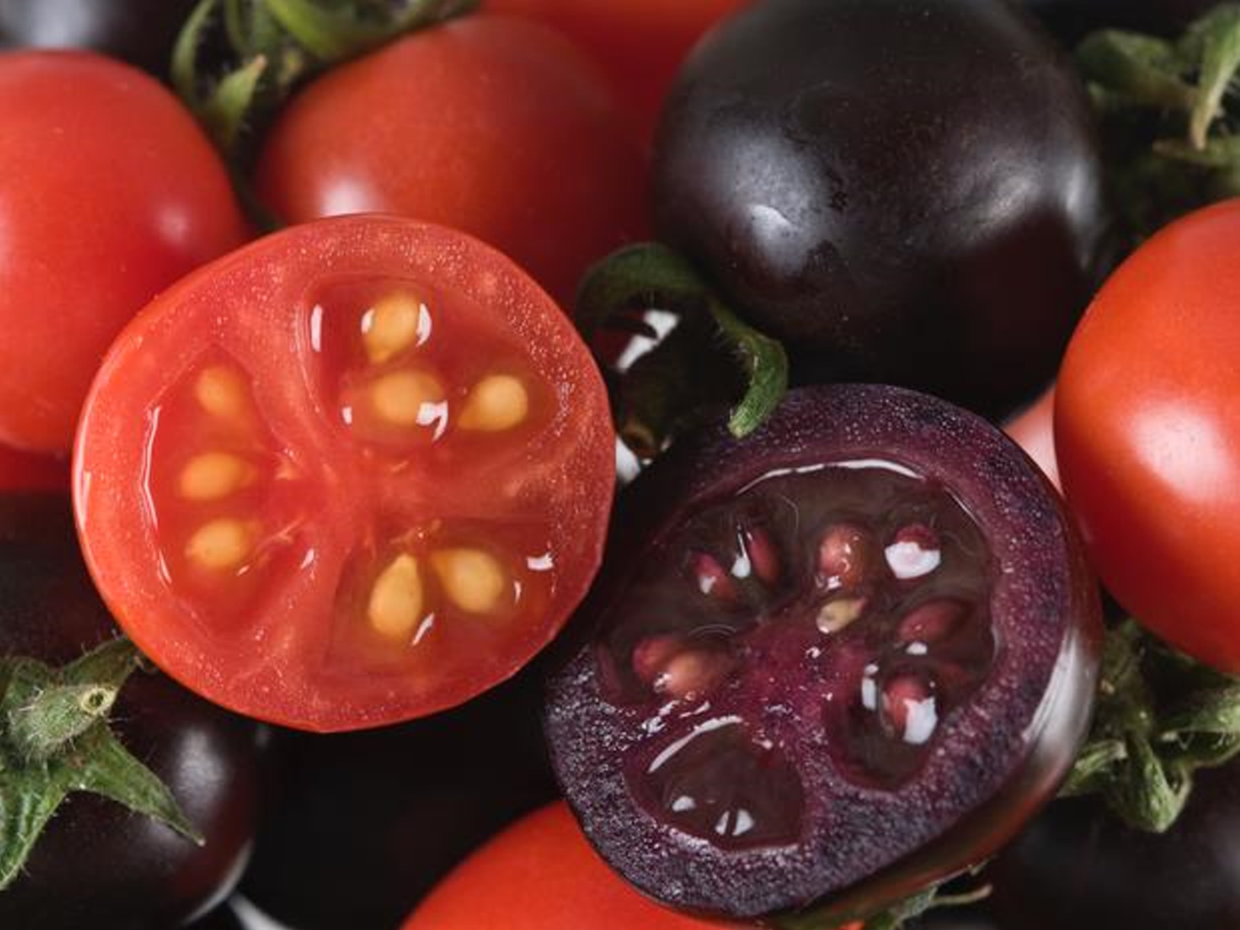 真正的基改紫色番茄來了！耗時15年 美國農業部終於批准販售 2023年將正式問世