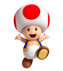 Toad8